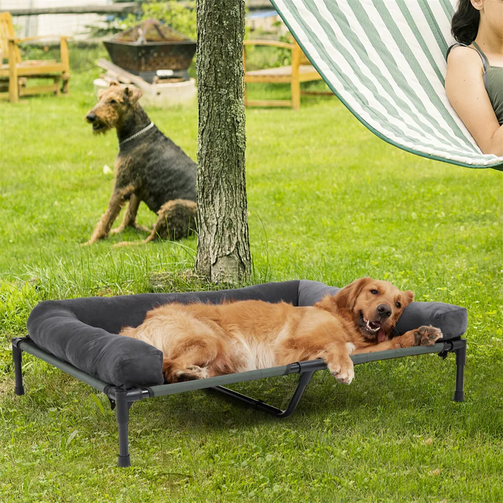 BINGOPAW Podwyższone legowisko – Bed Outdoor Camping recenzja i cena